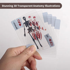 WIizyzfhy The Body Deck waterproof plastic cards sturdy for labs and parties