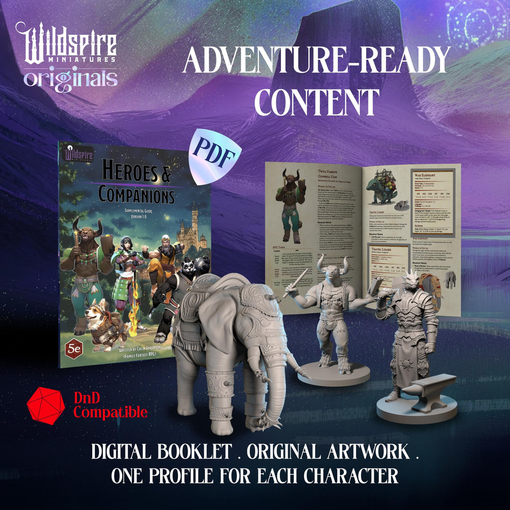Wildspire human NPC rogue for adventurous party dynamics and quests.