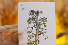 WILLBERTRON custom design cards feature Pooh artwork for nostalgic game sessions.