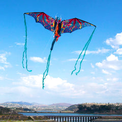WindNSun vibrant color scheme enhances visibility during outdoor flights.