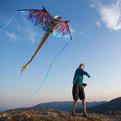 WindNSun spinbox kite design aids smooth handling and engaging flights.