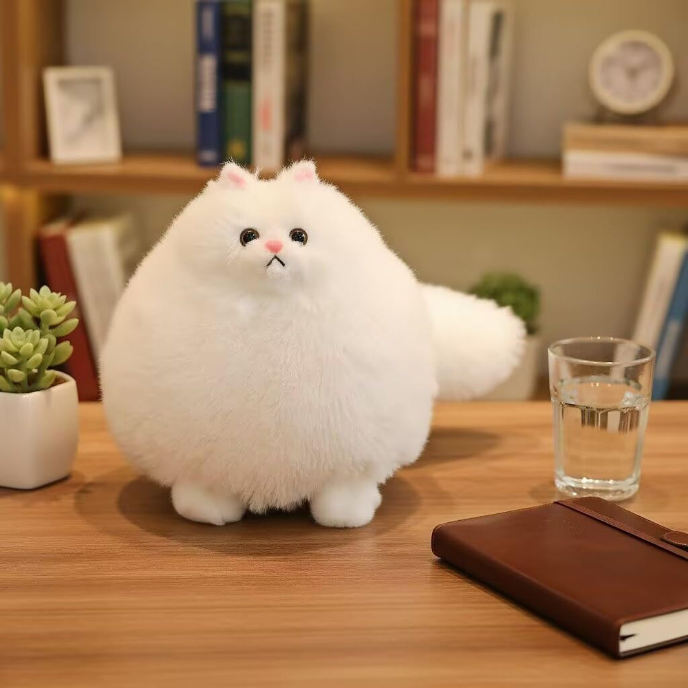Winsterch gift-ready boxed cat makes a great birthday or holiday surprise