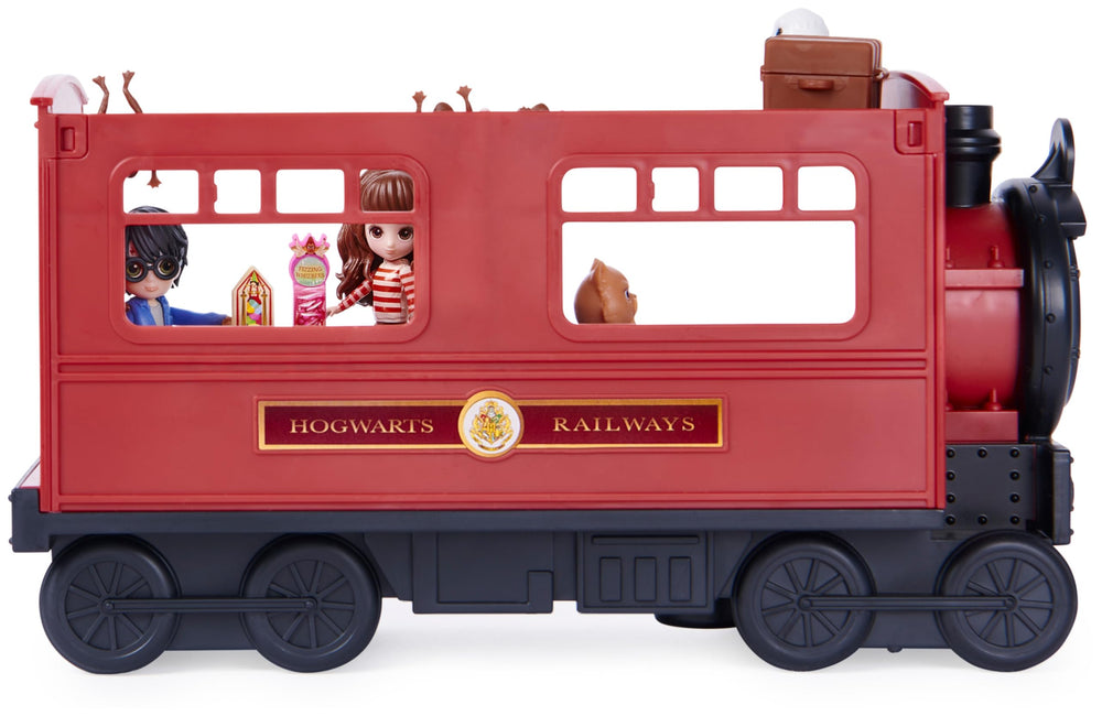 Chocolate Frogs attached around the cabin for movie-inspired fun
