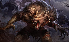 Wizards of the Coast Magic Innistrad Midnight Hunt Collector theme unboxing moment for display.
