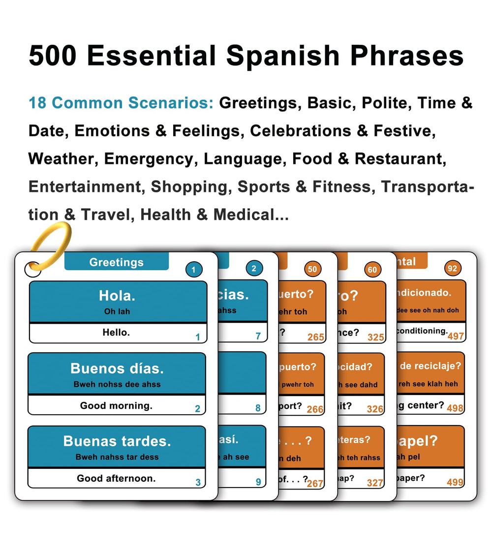Woifish flash cards spread displaying 500 phrases for daily conversations.