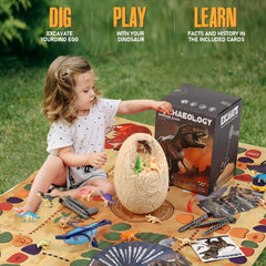 Six digging tools enable safe, hands-on fossil excavations and discovery.