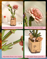 Wowood pink carnation gift-ready box suggests a thoughtful present for plant lovers.