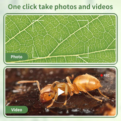 WSDMIC 1200X is ideal for outdoor learning and field trips.