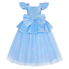 WYB blue princess dress skirt detail highlighting tulle layers and embroidery.
