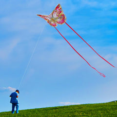 Xida Butterfly Kite makes a thoughtful gift for kids aged 4-8