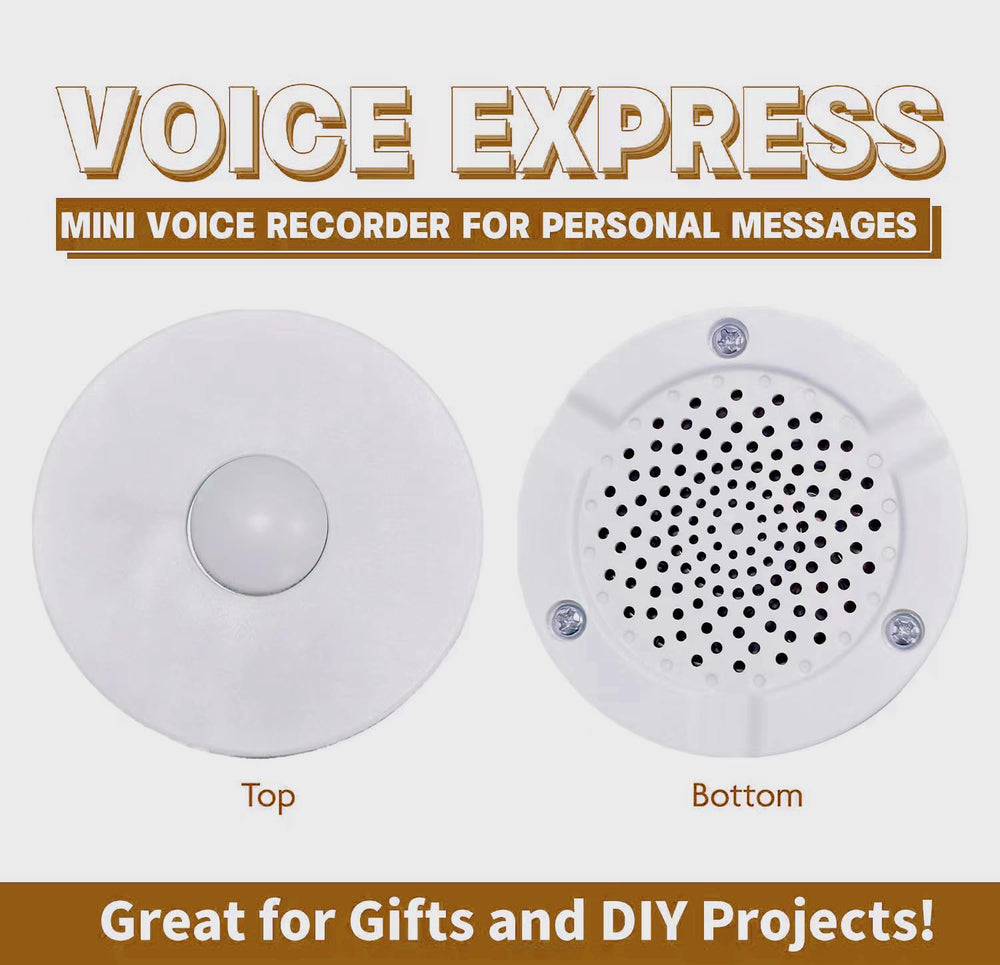 XLW DIY project with a customizable voice message inside a plush or pillow.