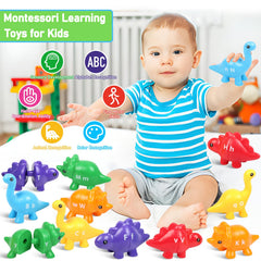 Yeahbof classroom-friendly setup helps develop fine motor skills.