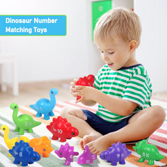 Yeahbof numbered dinosaurs with labels and shapes to support color and quantity matching.
