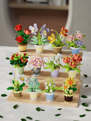 YEIBOBO flower pots display on a shelf adds color and a calm mood.