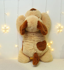 YESGIRL 26.8-inch plush pillow for cozy reading and bedtime snuggles
