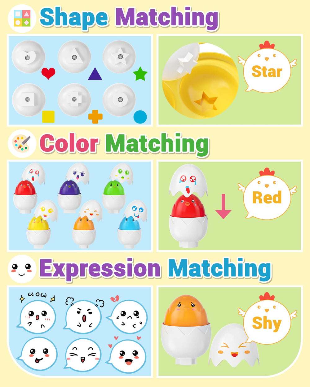 Yetonamr shell colors strengthen color sorting and visual discrimination