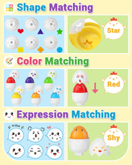 Yetonamr shell colors strengthen color sorting and visual discrimination