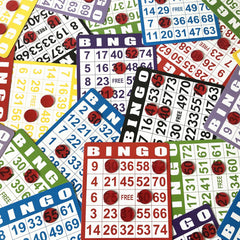 YH Poker red chips on table invite lively family game nights and classroom activities