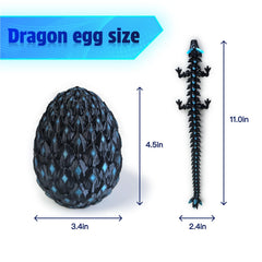 YonaaClin egg shell detail showcases craftsmanship for display