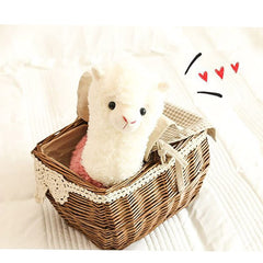 YUKOUQIAN plush llama for relaxed TV time and hugs with family.