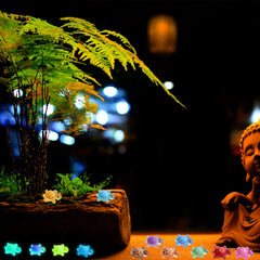 Yuronam luminous turtles resin-detail close-up; craft-friendly texture.