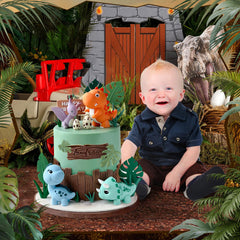 Zafena safari party decor for themed celebration