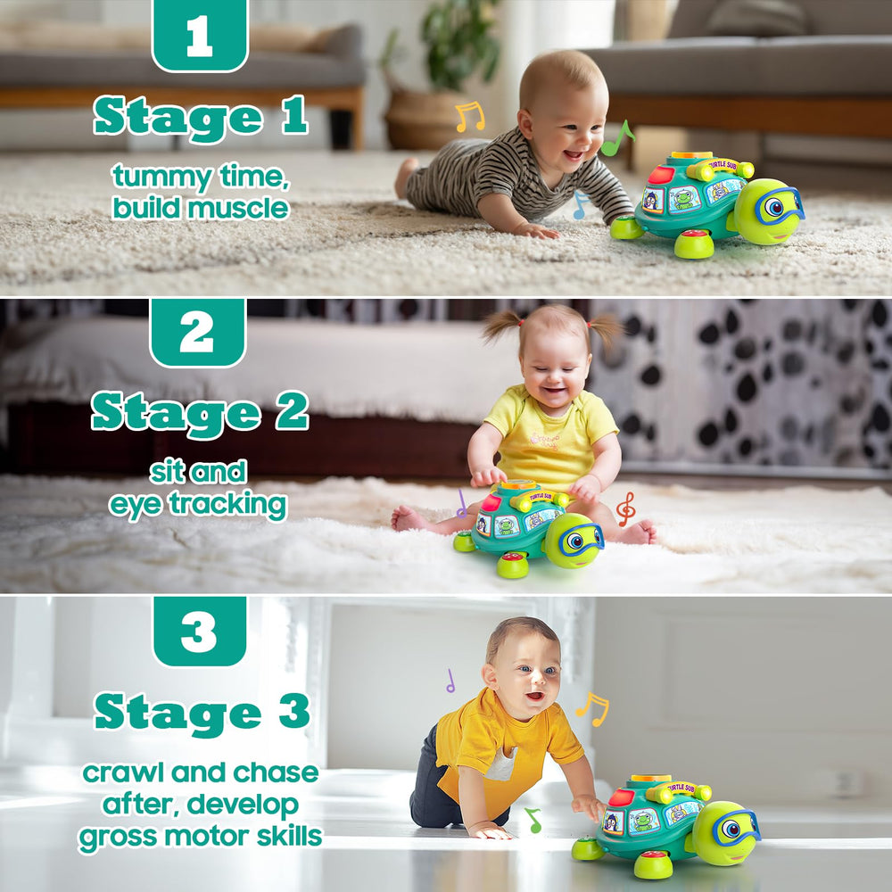 Zardali turtle slow-crawl design promotes gentle movement and head lifting.