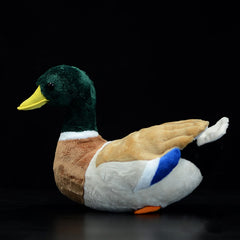 ZHONGXIN MADE mallard duck plush closeup eye detail, charming realism.