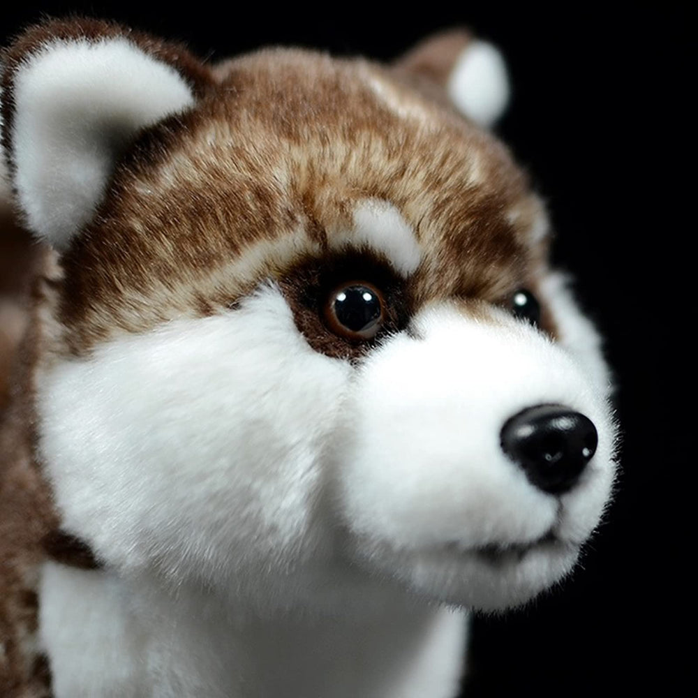 ZHONGXIN MADE Siberian Husky Plush packaged as a gift-ready item for kids