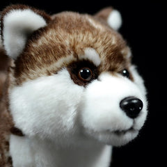 ZHONGXIN MADE Siberian Husky Plush packaged as a gift-ready item for kids