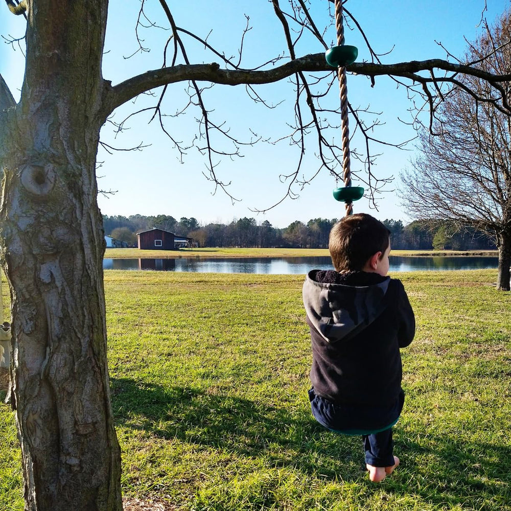 ZNCMRR backyard playset compatibility keeps your existing setup evolving