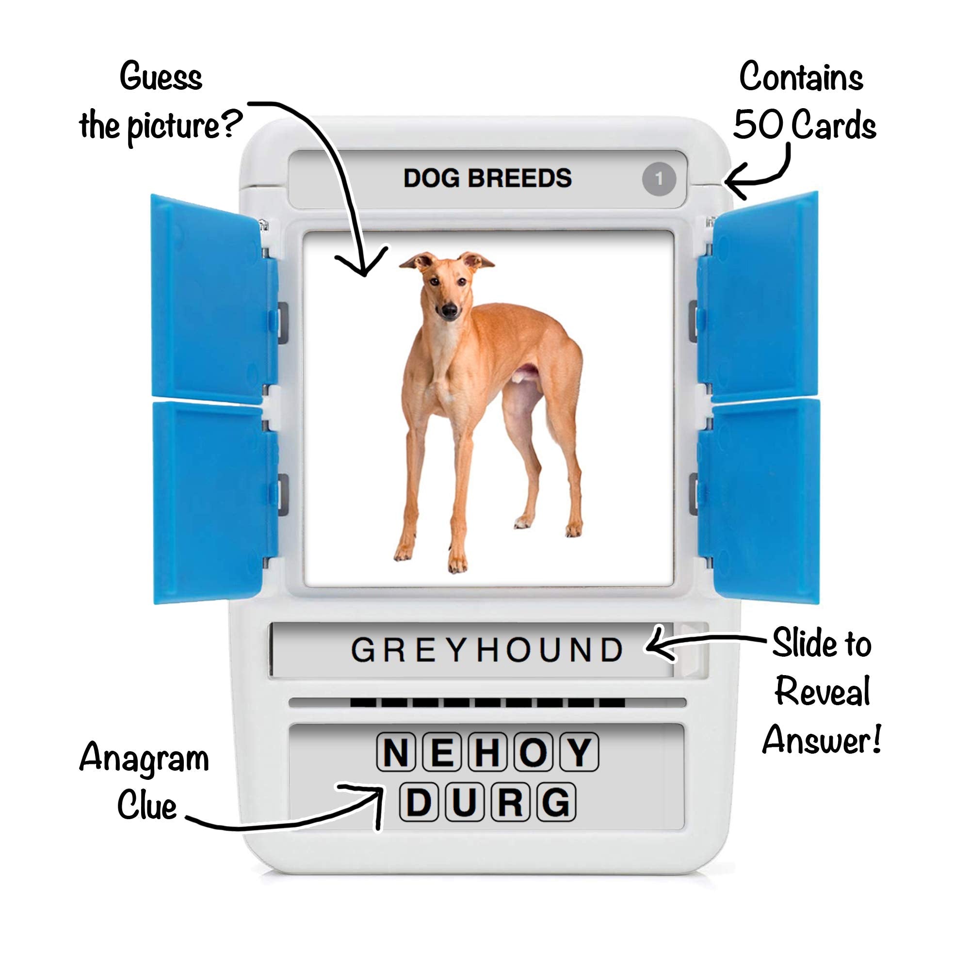 100 PICS Dogs Travel Game anagram door image invites quick guessing and reveal.