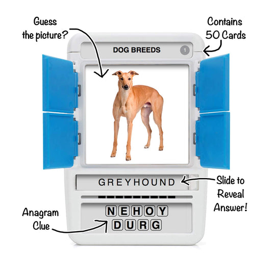 100 PICS Dogs Travel Game anagram door image invites quick guessing and reveal.