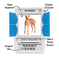 100 PICS Dogs Travel Game anagram door image invites quick guessing and reveal.