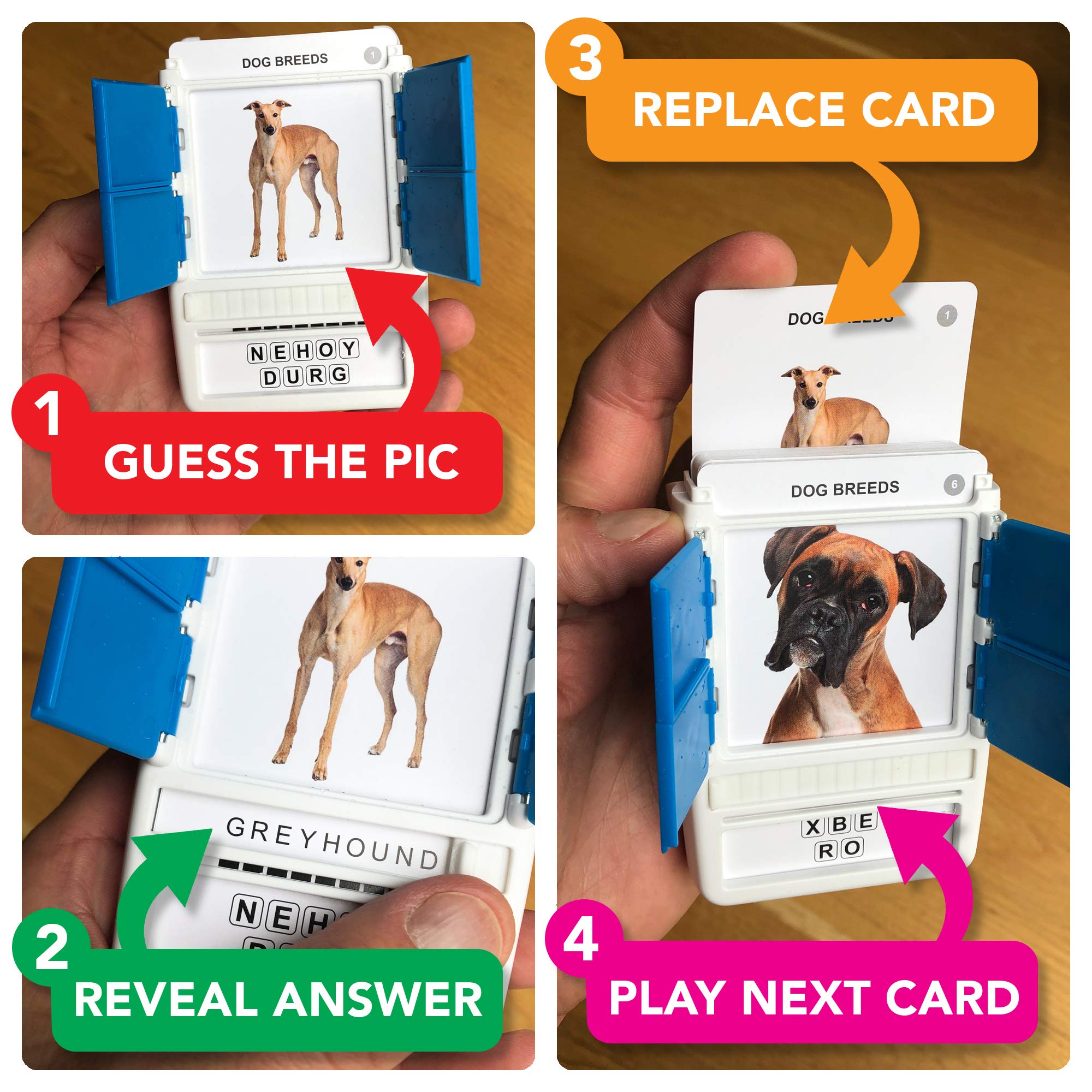 100 PICS Dogs Travel Game flashcards collection supports quick breed practice.