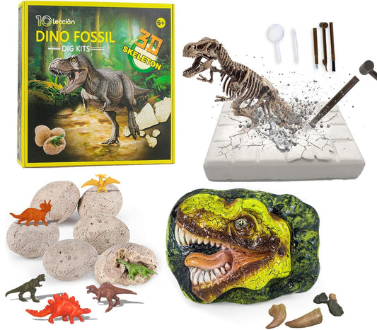 10Leccion dinosaur head fossil invites young scientists to explore hands-on paleontology