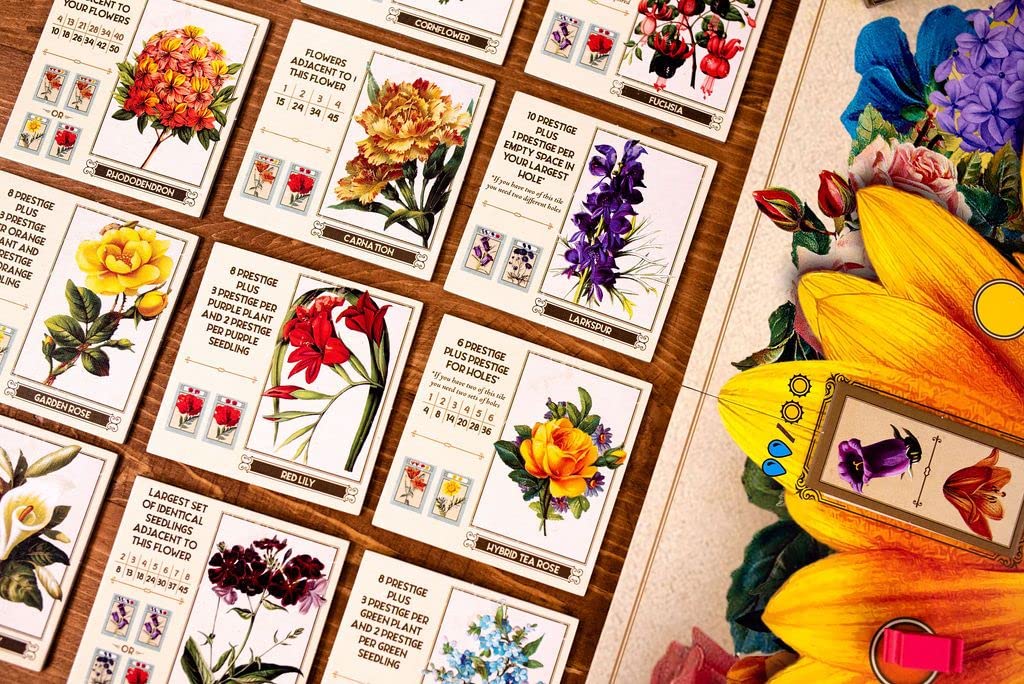 Gartenbau box art and components laid out for review