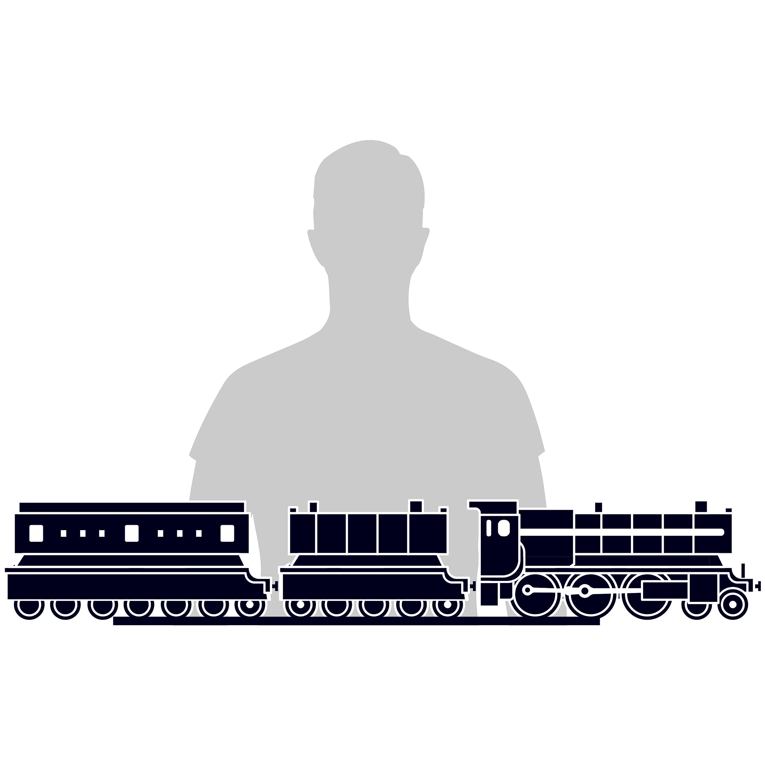 4D Build Hogwarts Express movie-accurate detail for collectors