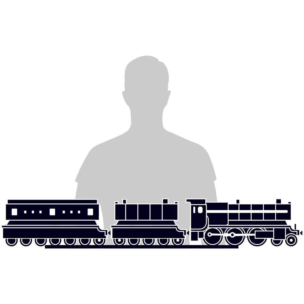 4D Build Hogwarts Express movie-accurate detail for collectors