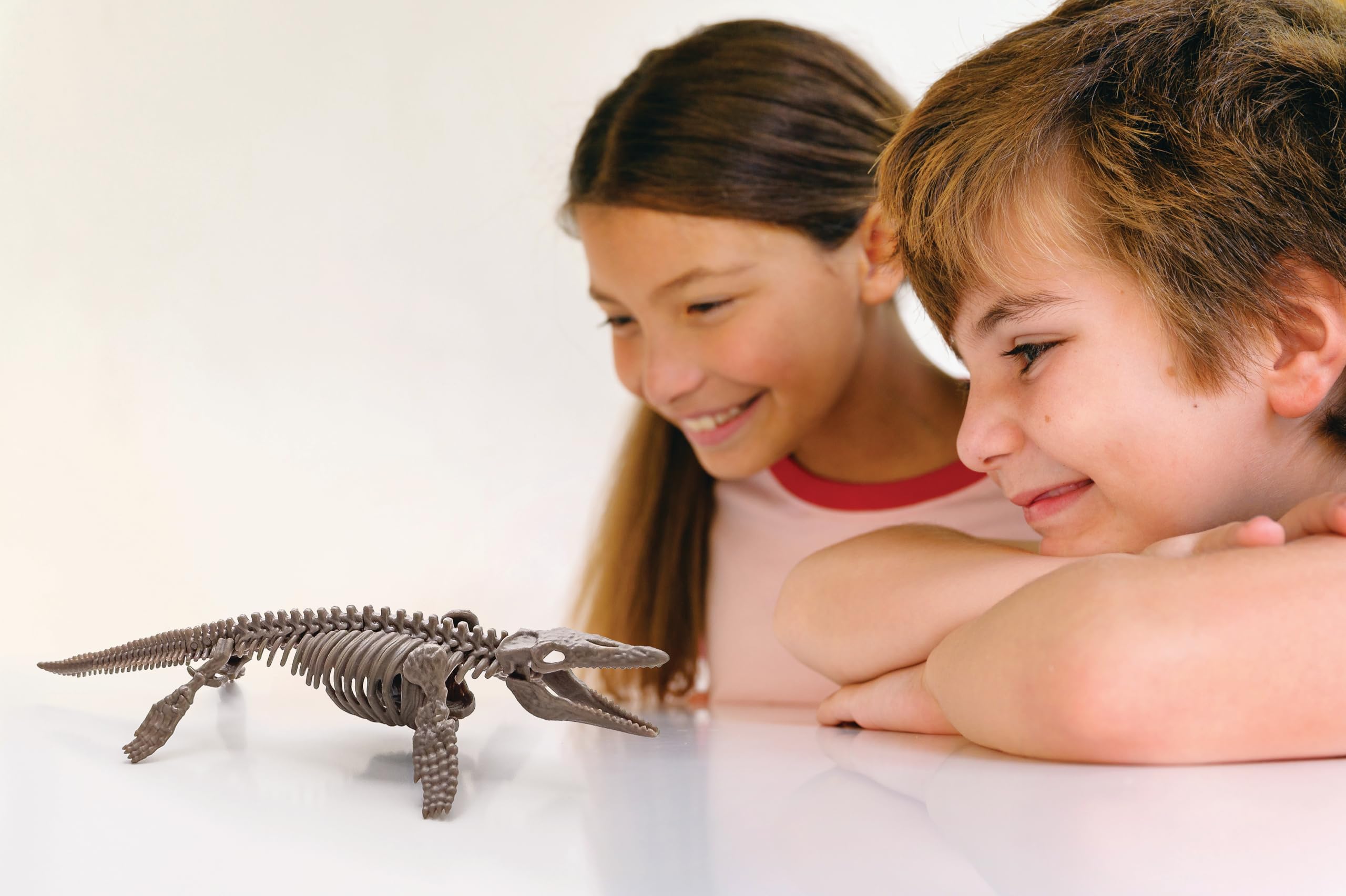 4M Mosasaurus bones revealed during excavation for science curiosity.