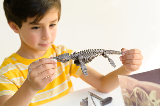 4M Dig a Mosasaurus tools kit for precise excavation and learning.