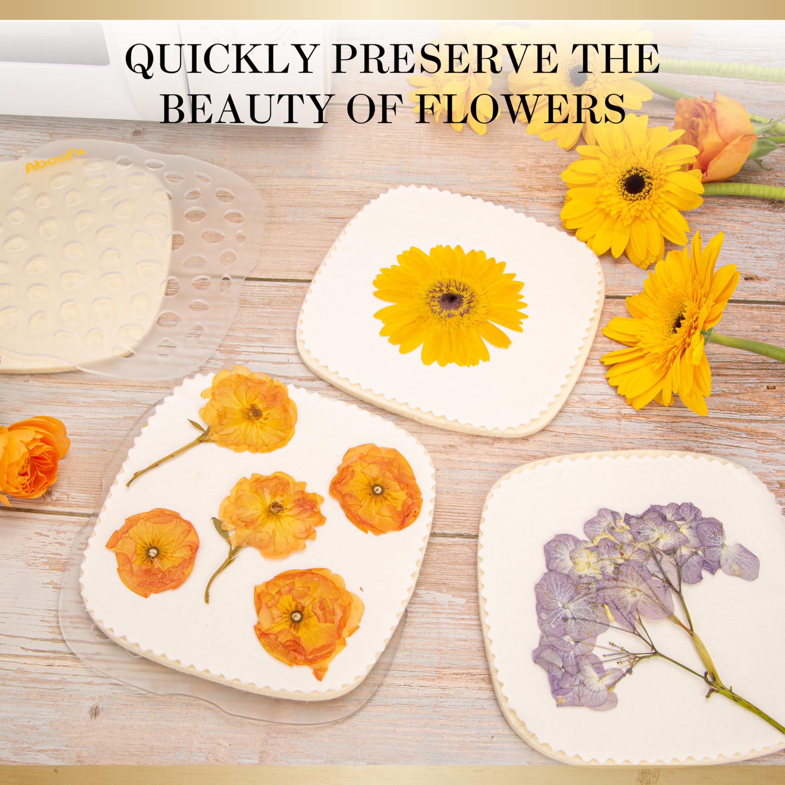 Aboofx gift-ready packaging highlights a thoughtful keepsake for nature lovers