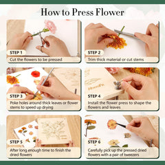 Aboofx dried flower art framed display idea example