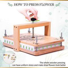 Aboofx included drying plates and sponge layers support quick clean drying