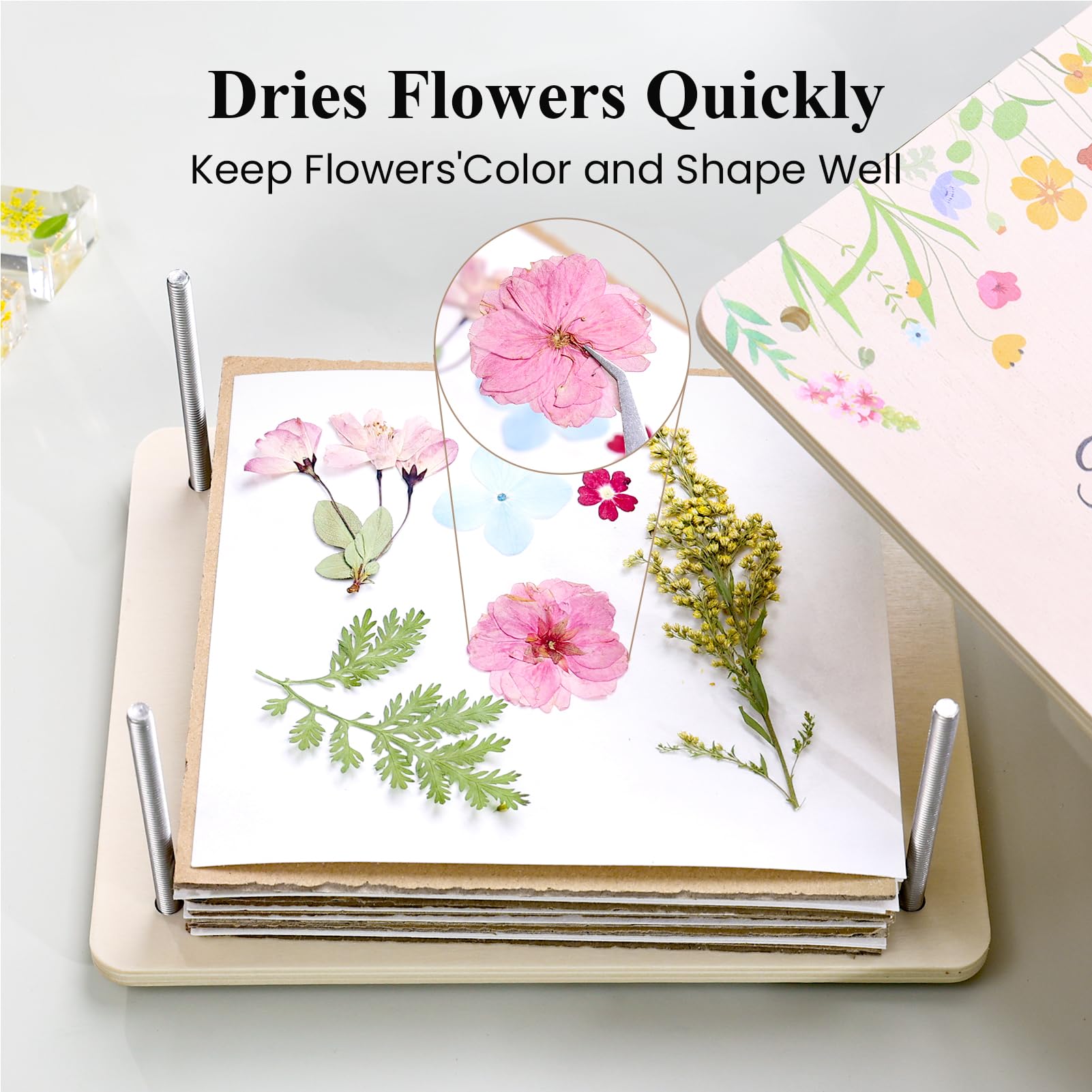 Vivid pressed flowers showcase preserved color and detail from the kit