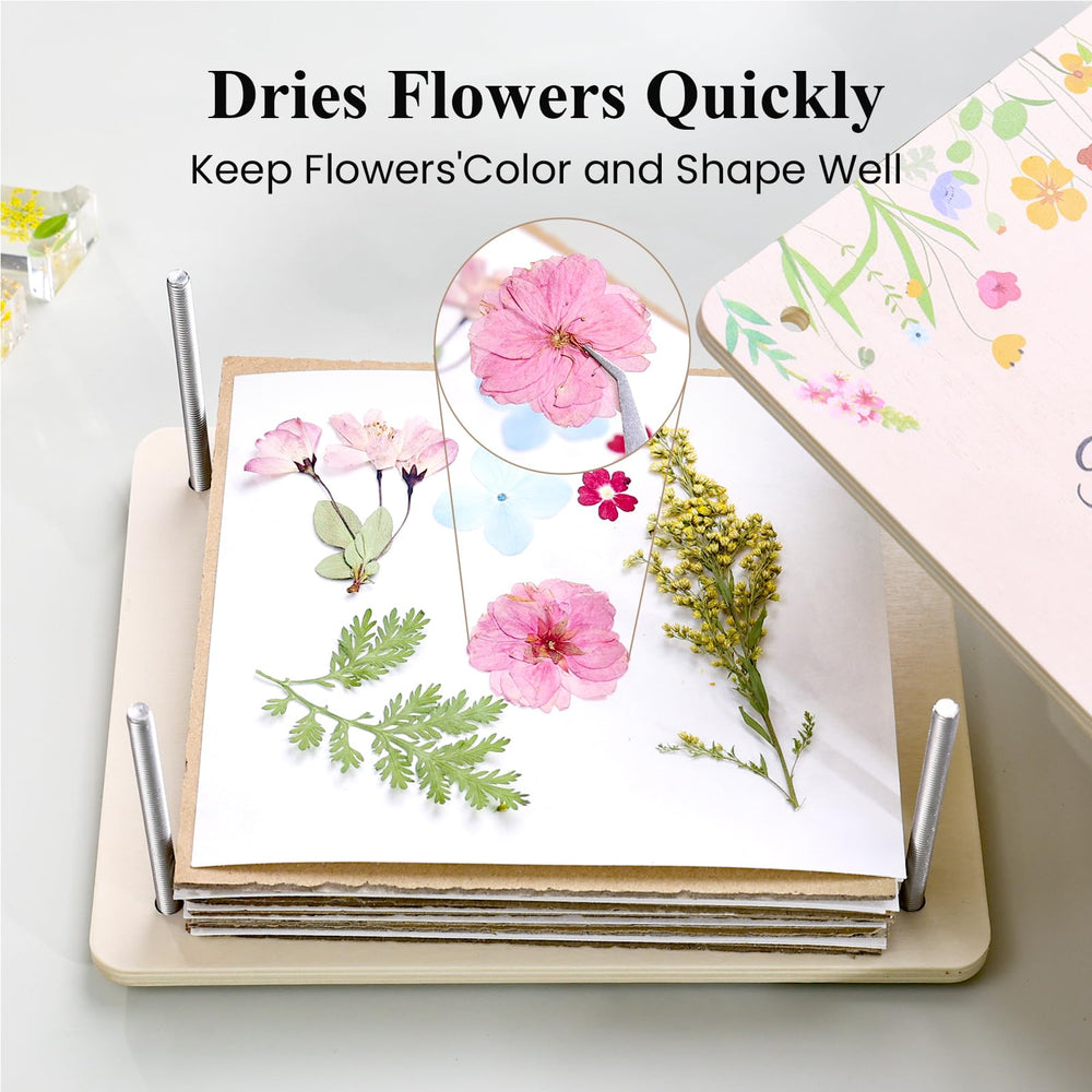 Vivid pressed flowers showcase preserved color and detail from the kit
