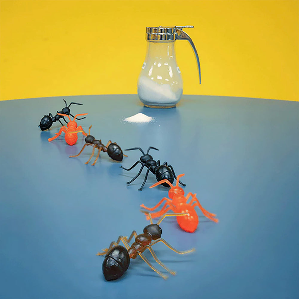 Accoutrements Archie McPhee hard vinyl ants feel sturdy and durable