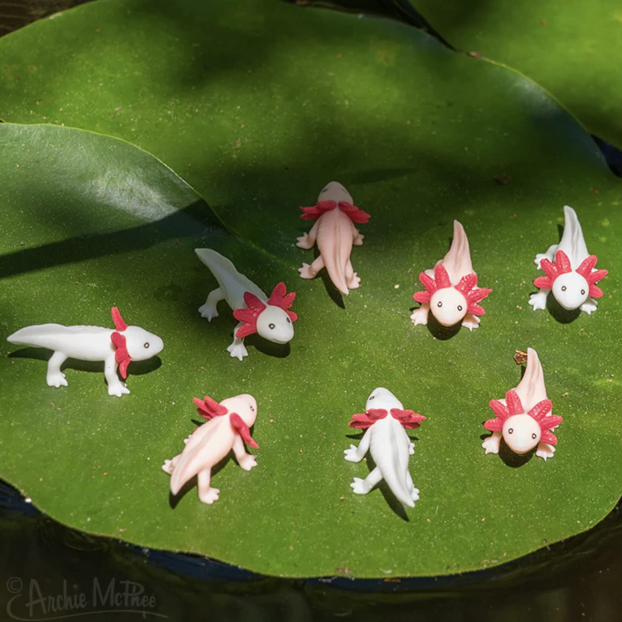 Accoutrements Itty Bitty Axolotls shelf display, whimsical collection