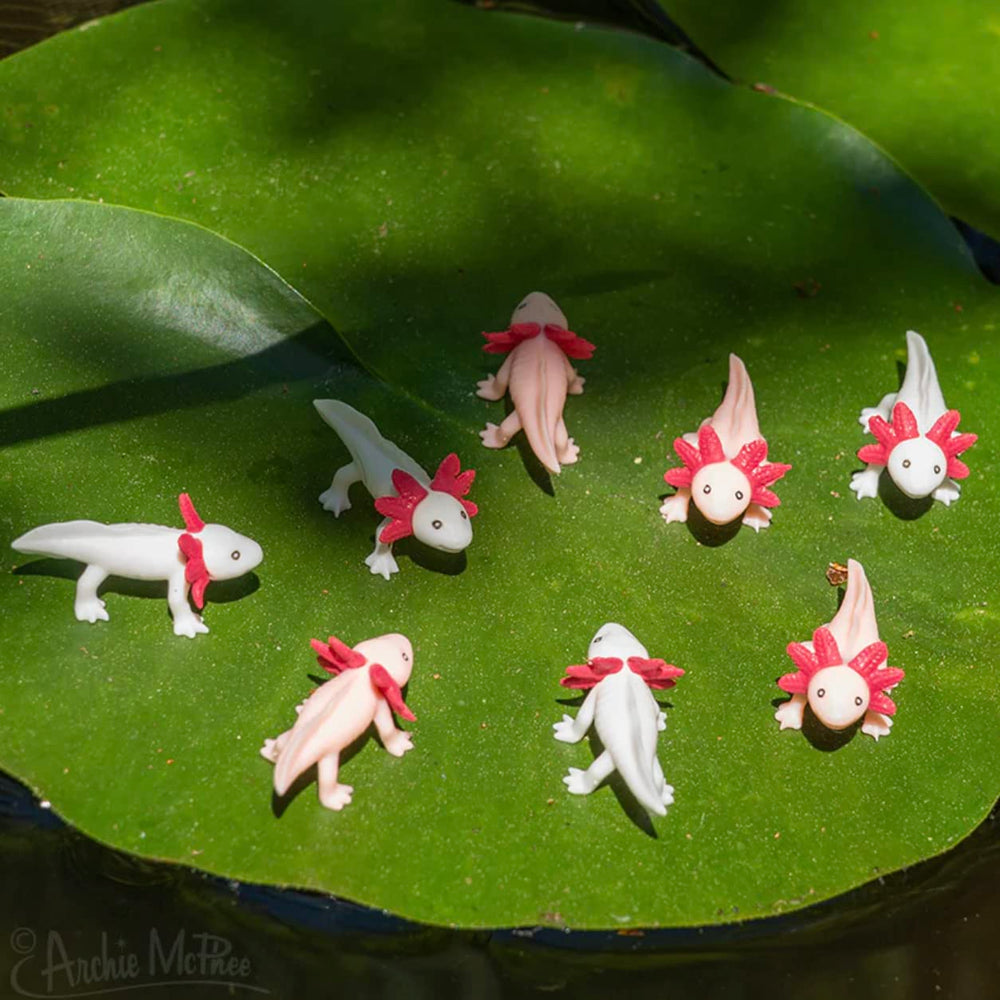 Accoutrements Itty Bitty Axolotls shelf display, whimsical collection
