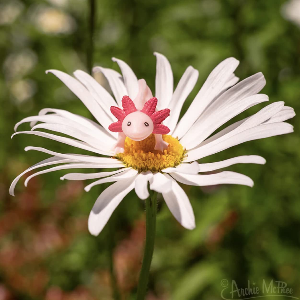 Accoutrements Itty Bitty Axolotls gift-ready pack